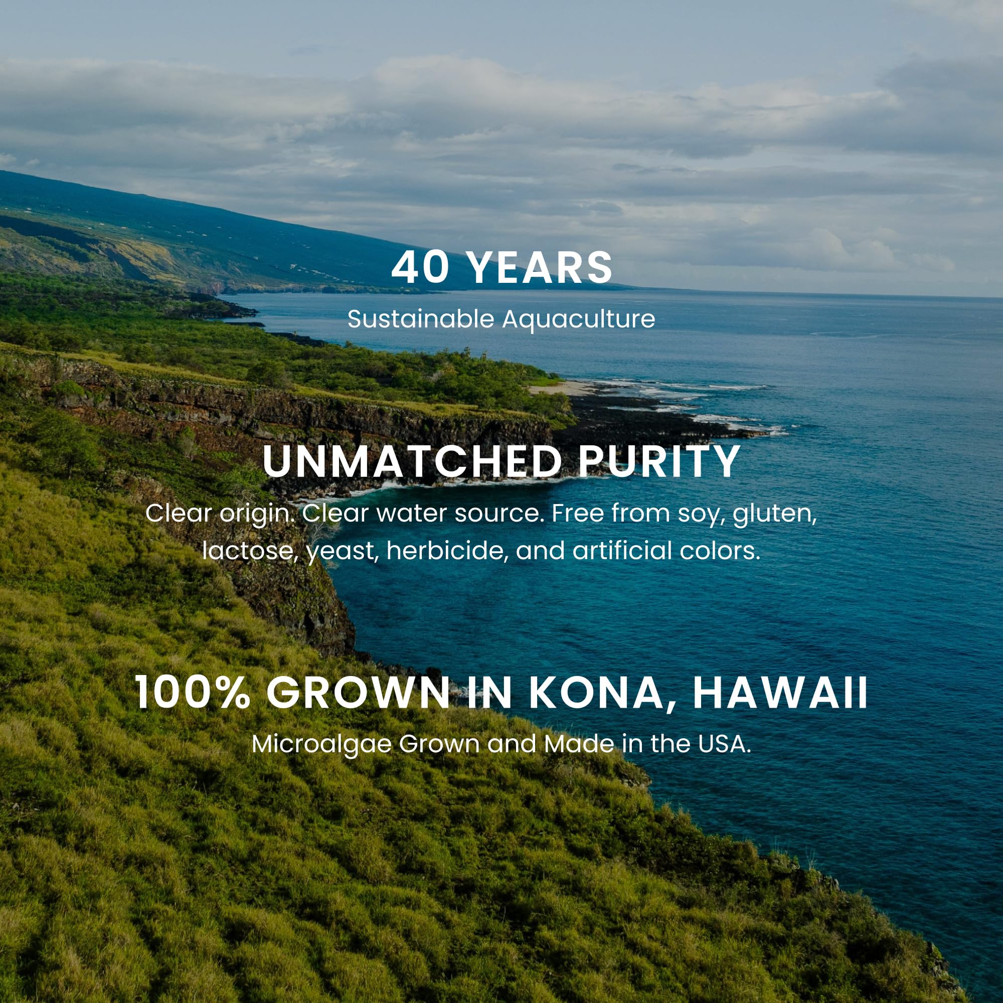 Nutrex Hawaii estanques de cultivo en Hawái que muestran origen sostenible