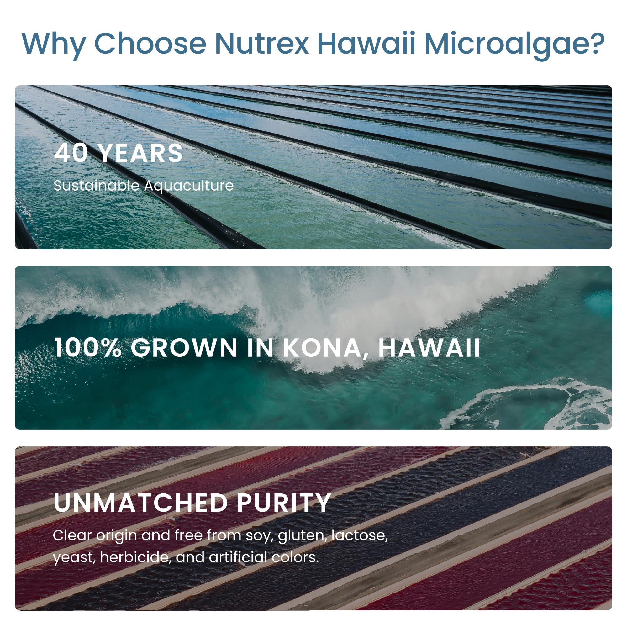 Nutrex Hawaii granja en Kona, piscinas de cultivo en entorno controlado