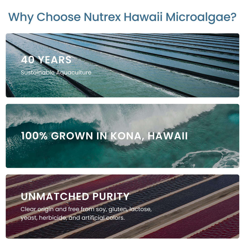 Nutrex Hawaii granja en Kona, piscinas de cultivo en entorno controlado