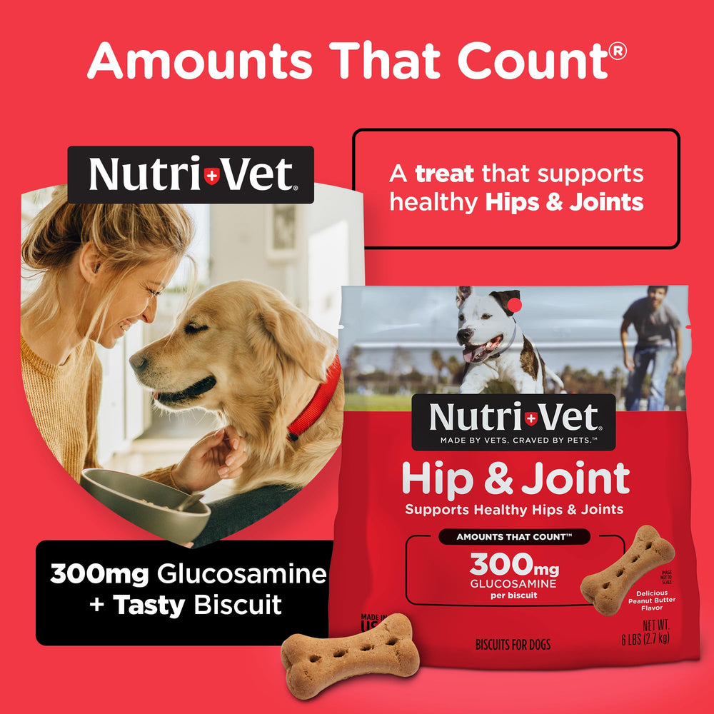 Nutri-Vet biscuit next to ruler for size, clarifies 3.25-inch scale