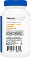 Nutricost L-Theanine cápsula tomada en mano en entorno matutino para apoyar concentración diaria