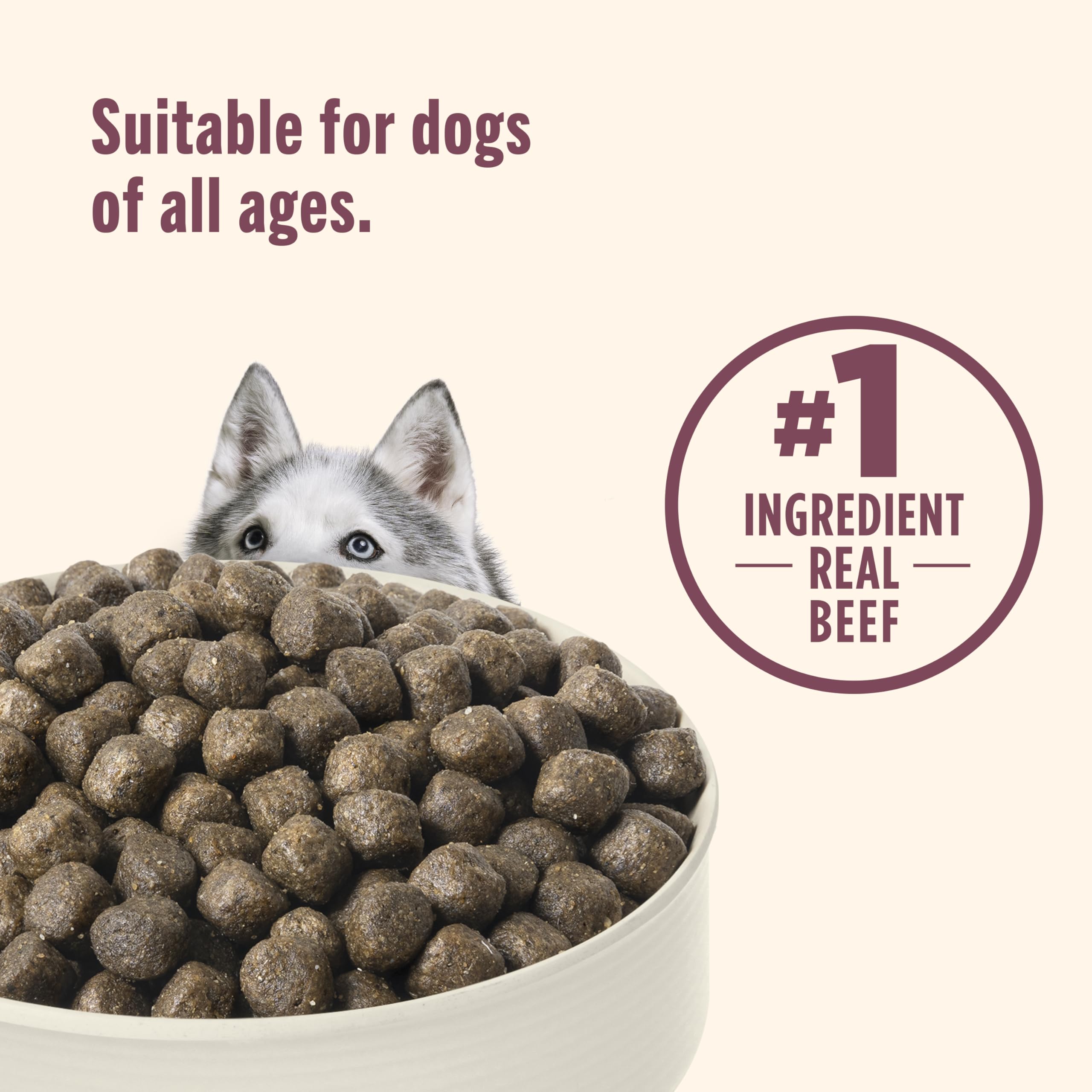 Nutrish etiqueta de ingredientes indicando carne de res como primer componente