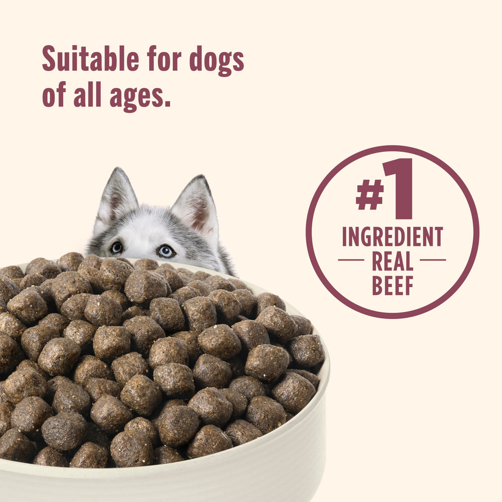 Nutrish etiqueta de ingredientes indicando carne de res como primer componente