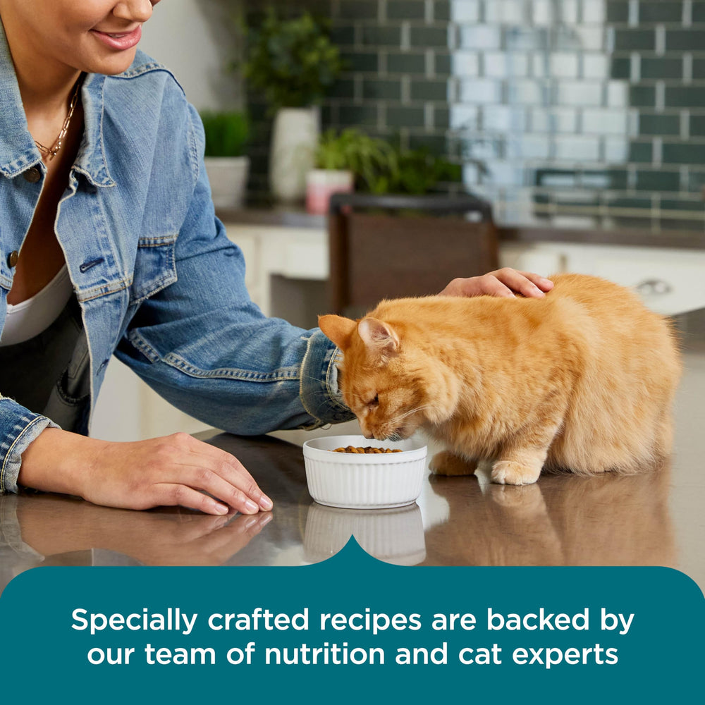 Nutrish plato servido listo para comer que estimula el apetito del gato