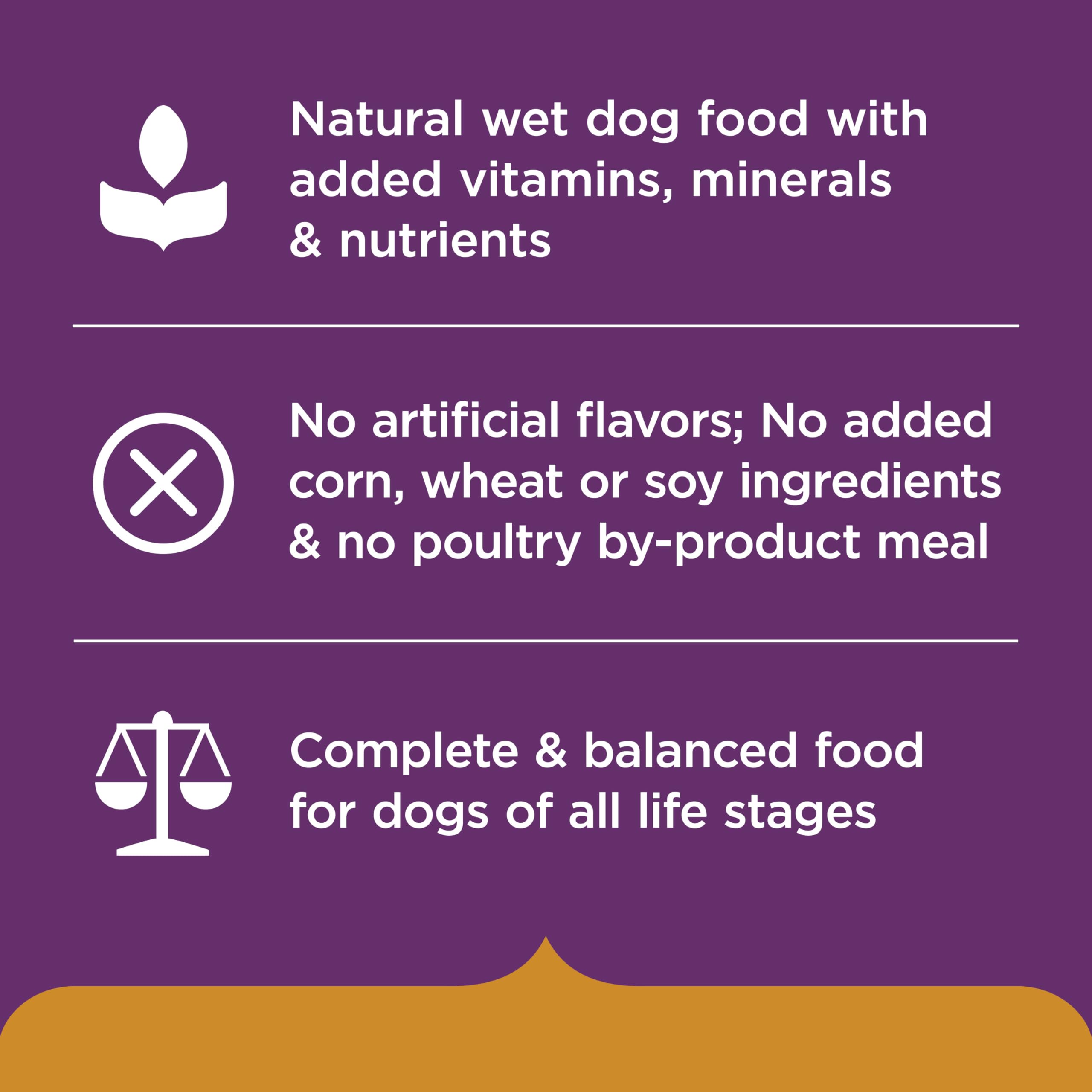 Nutrish porción en plato siendo ofrecida a perro, fomenta aceptación
