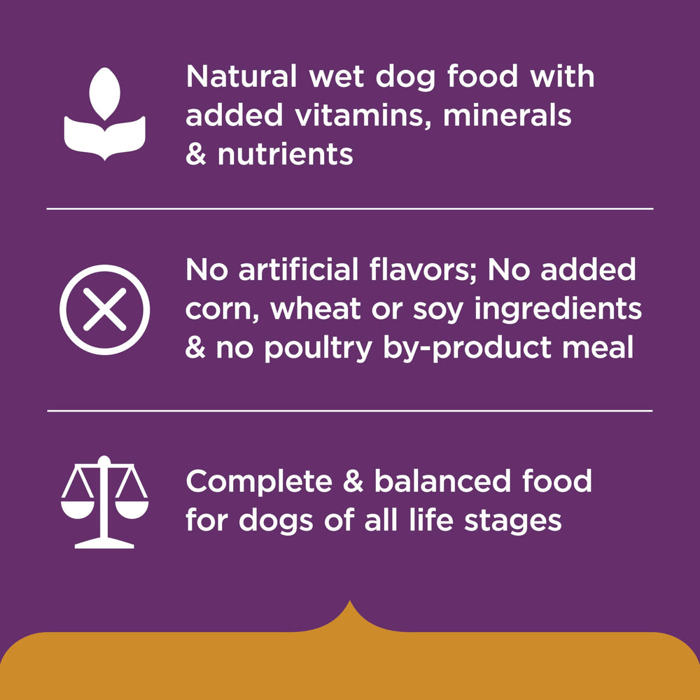 Nutrish porción en plato siendo ofrecida a perro, fomenta aceptación