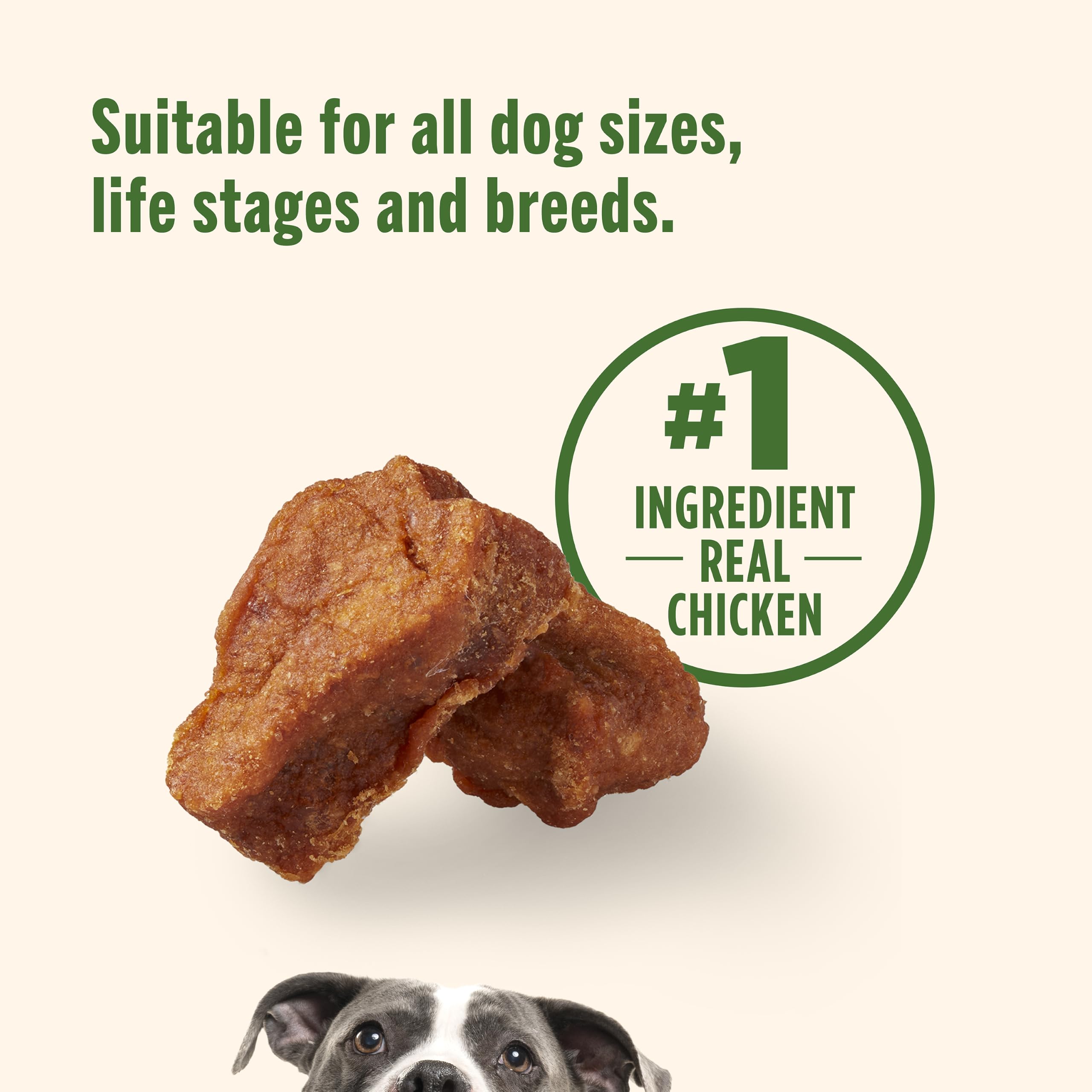 Nutrish comparación de tamaño con mano para referencia de escala