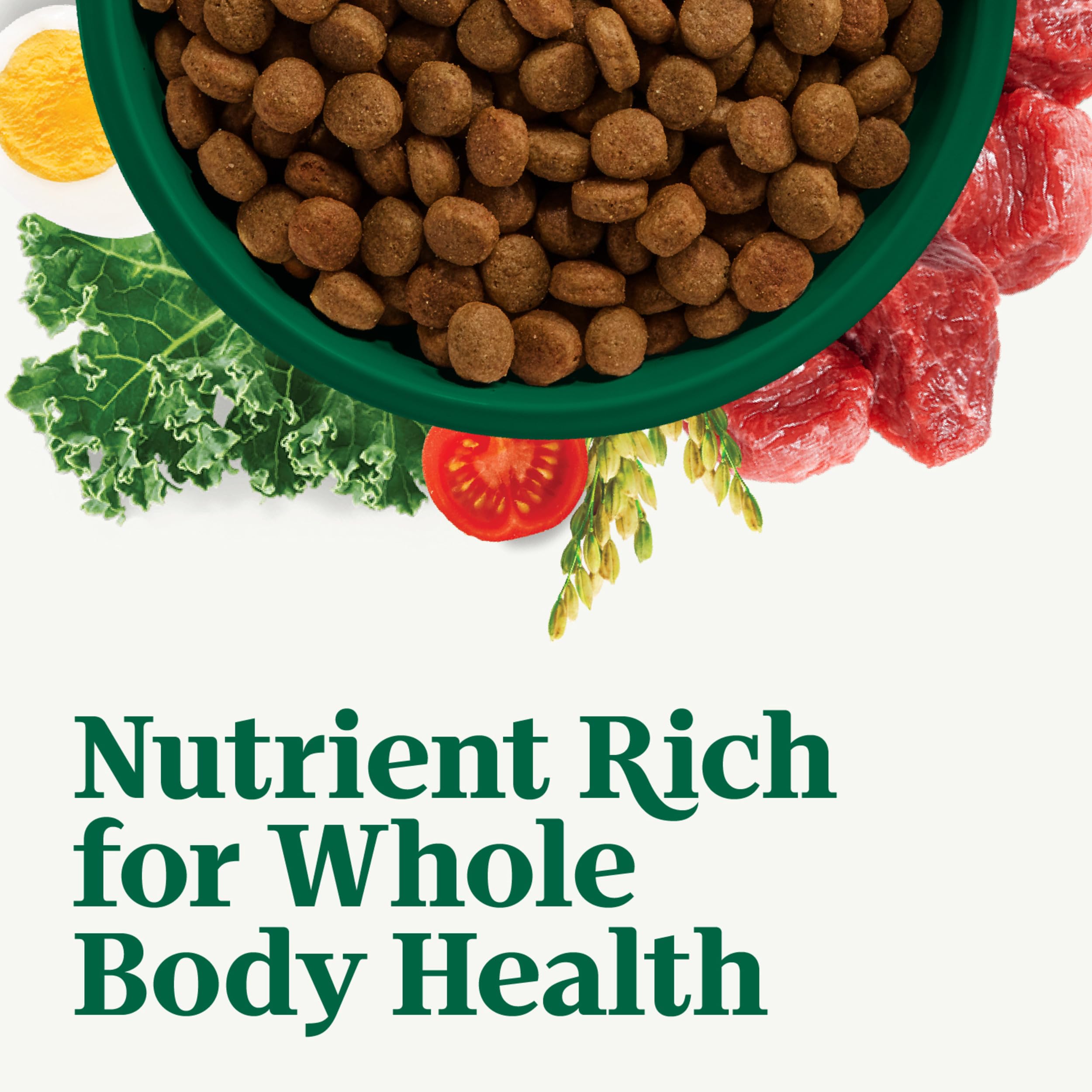 Nutro bol con kibble destacando calidad y mezcla de nutrientes