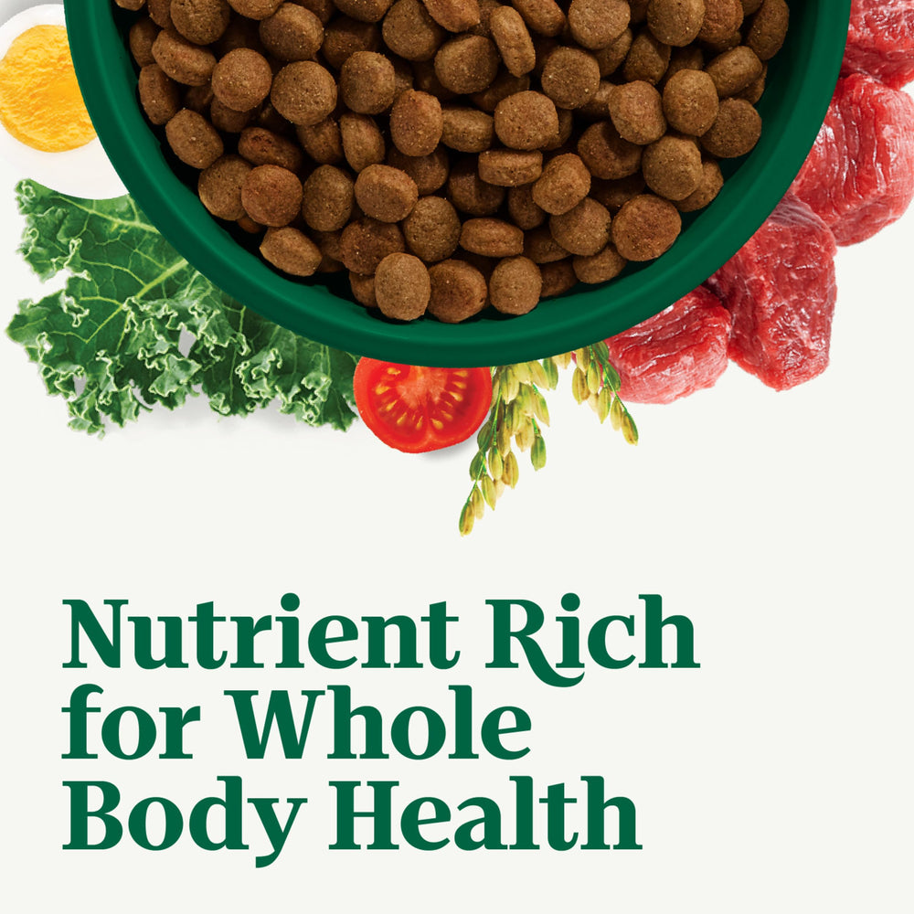 Nutro bol con kibble destacando calidad y mezcla de nutrientes