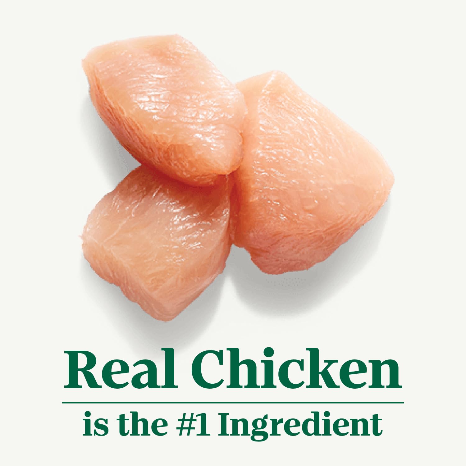 Ingredientes reales con pollo fresco para Nutro, enfatizando proteína identificable y calidad