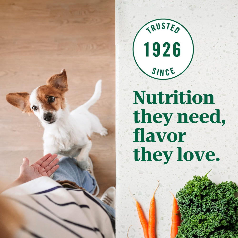 Nutro representación de los 14 superalimentos incluidos