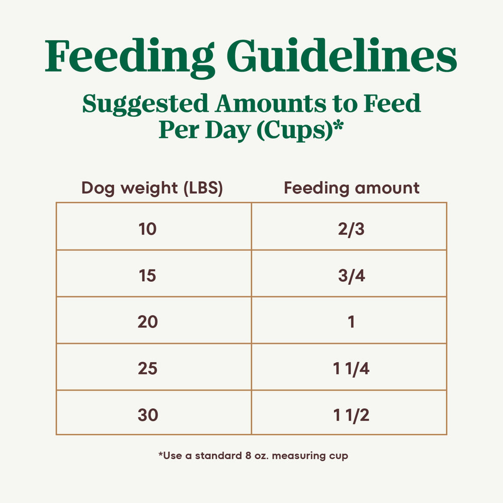 Nutro perro pequeño comiendo ración, digestión y energía