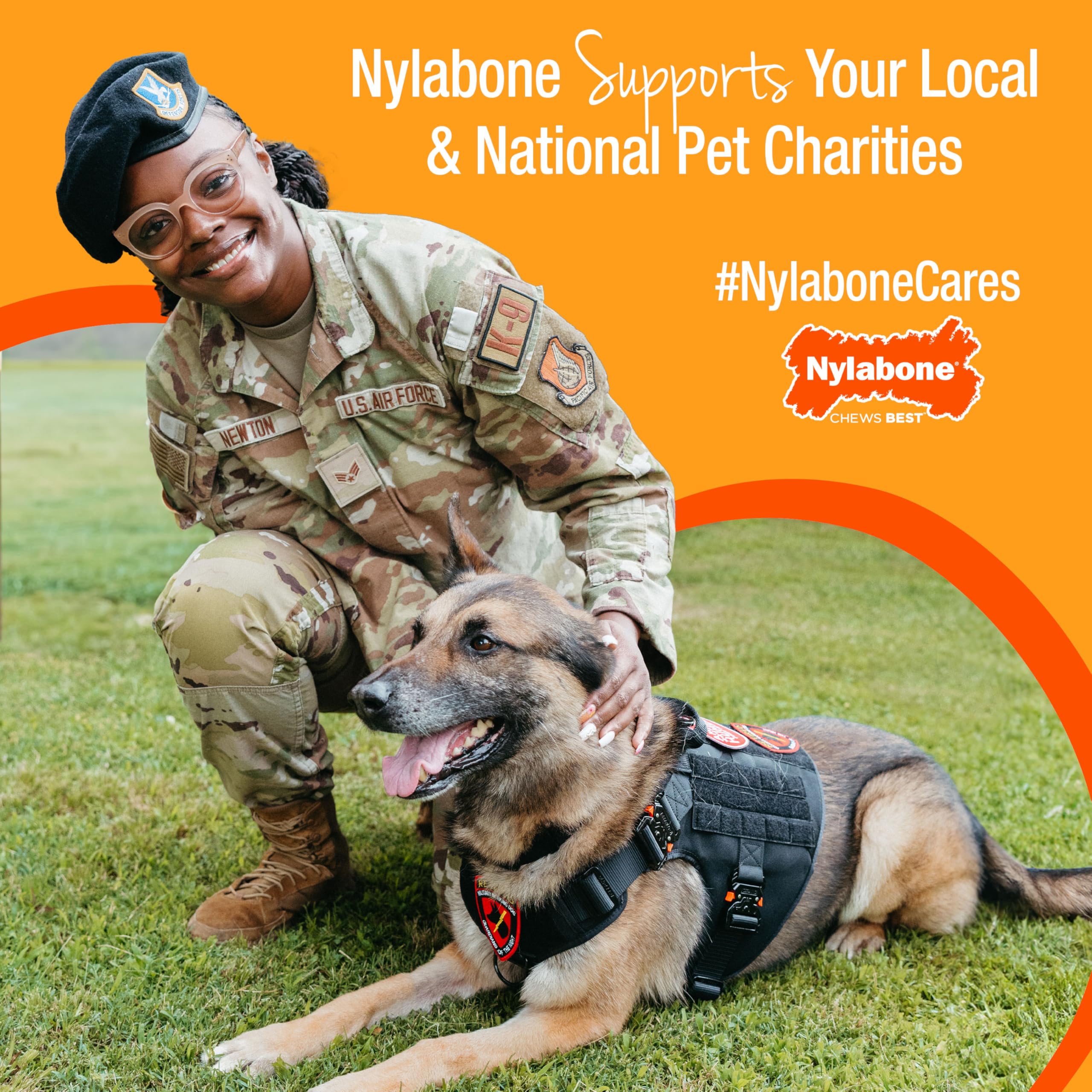 Nylabone escena en salón aportando calma y actividad saludable