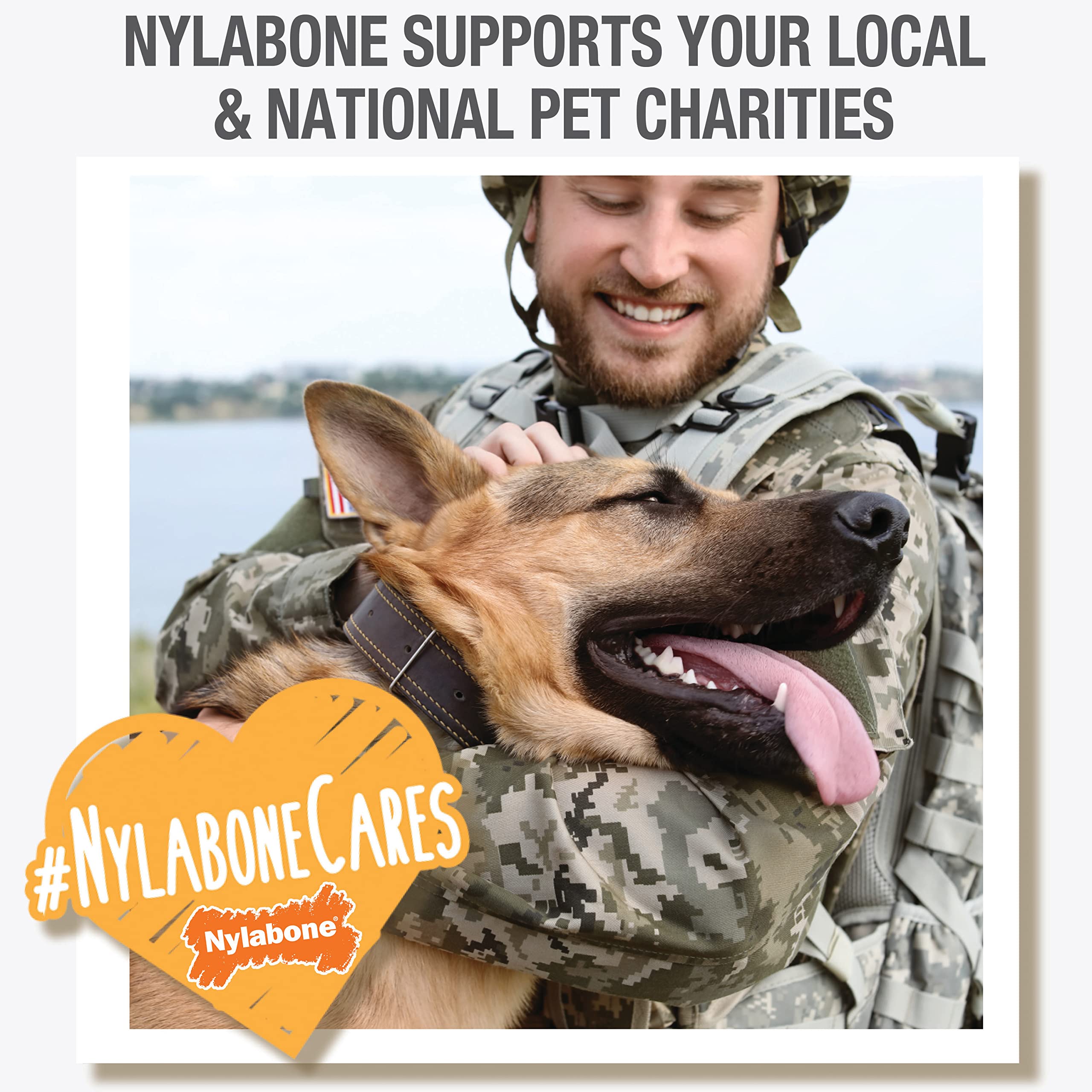 Nylabone envase abierto con 16 unidades listas para entrenamiento