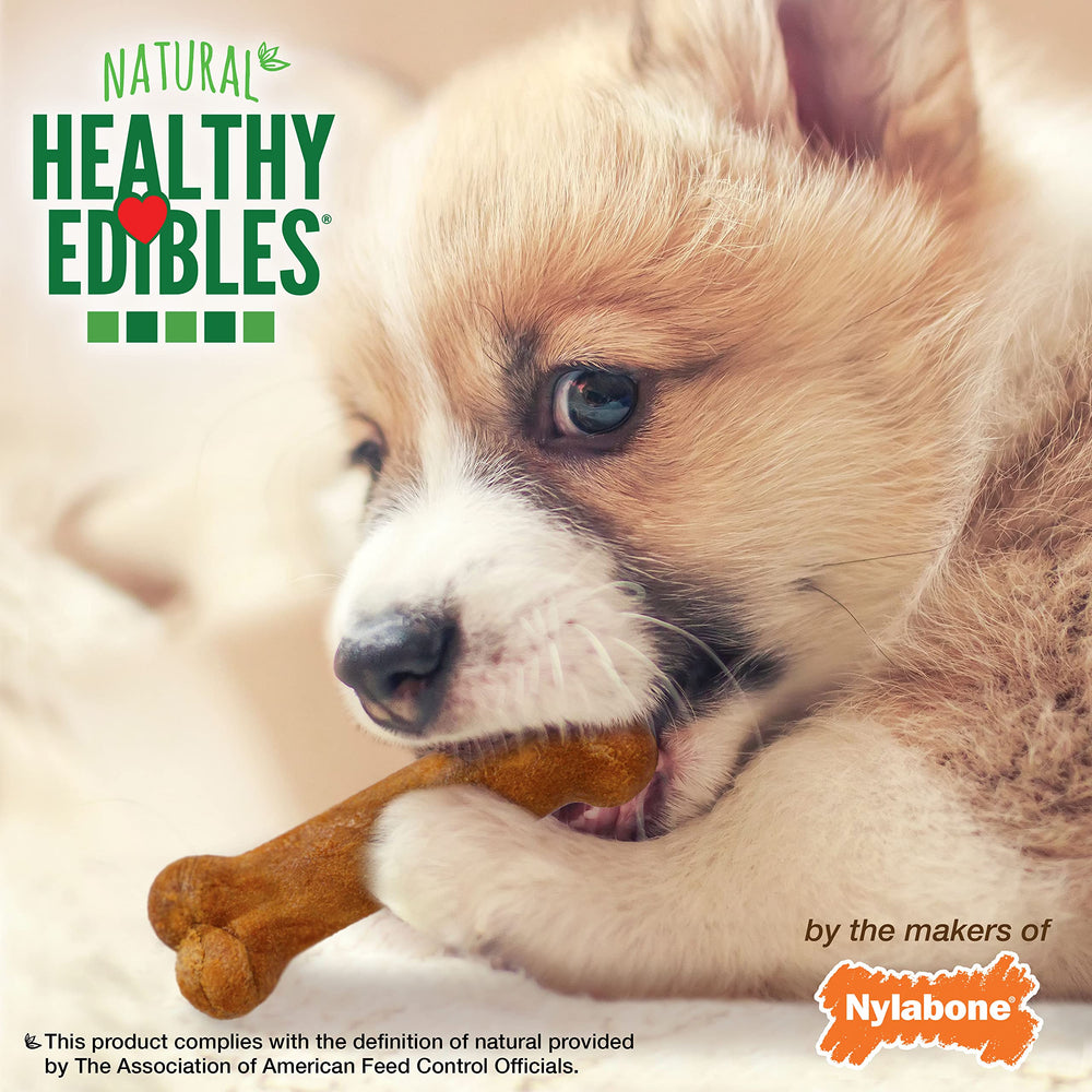 Nylabone etiqueta de ingredientes destacando calcio y DHA