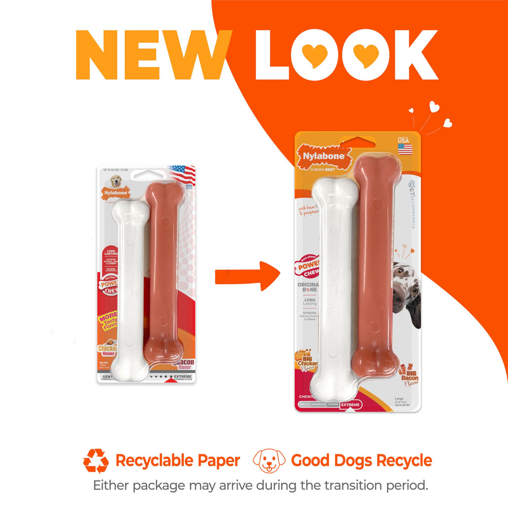 Perro masticando Nylabone Power Chew para aliviar aburrimiento
