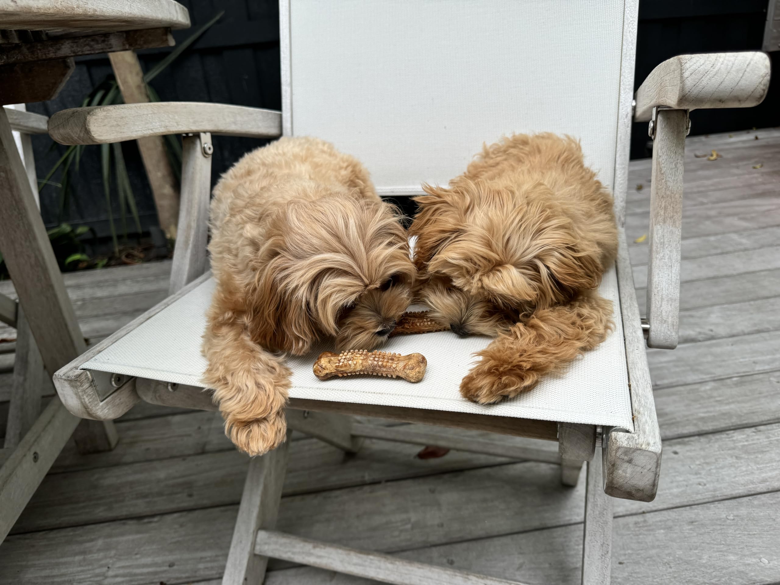 Nylabone ingredients label featuring real chicken and natural ingredient quality