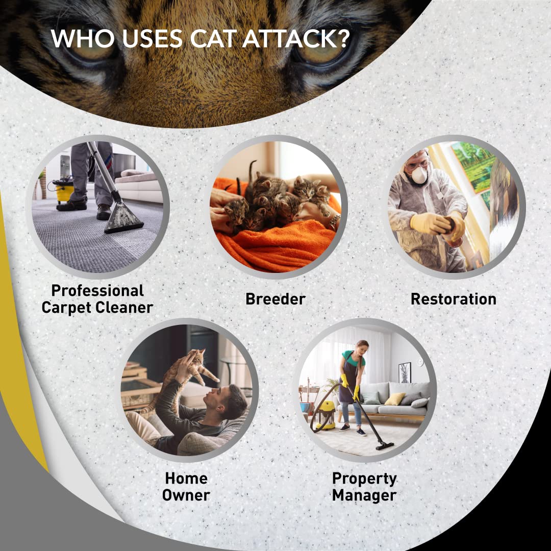 Aplicación de Odorcide Cat Attack sobre alfombra, neutraliza olor de orina de gato