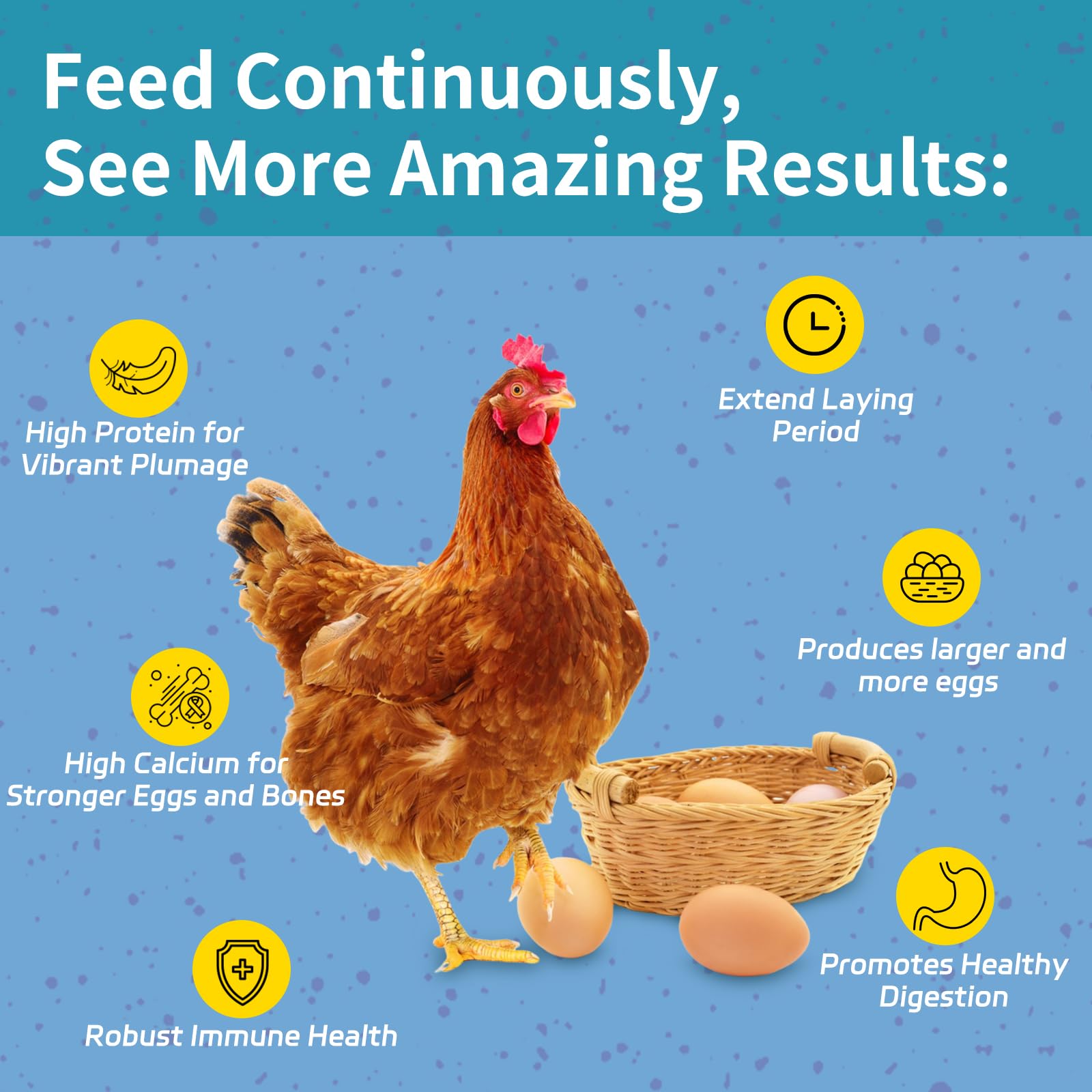 OHNAME gallinas comiendo en comedero beneficiándose del alimento proteico
