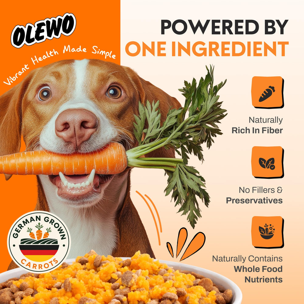 Perro comiendo con Olewo mostrando apetito mejorado y confort digestivo