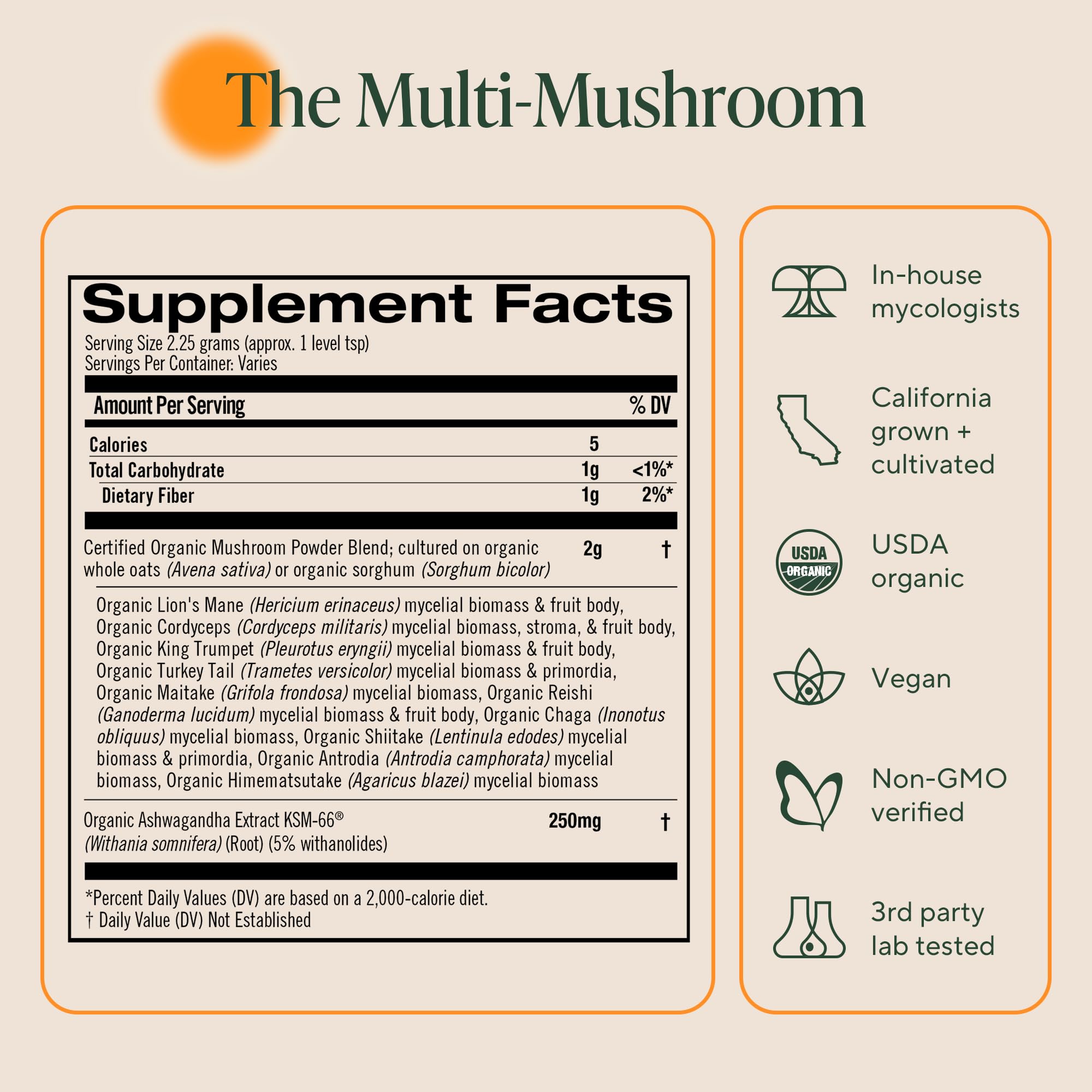 OM MUSHROOM SUPERFOOD bolsa junto a cuchara para comparar tamaño y raciones