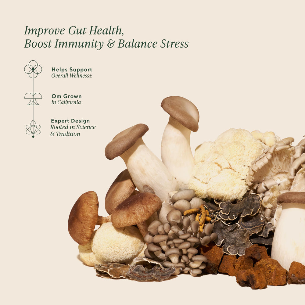 OM MUSHROOM SUPERFOOD polvo textura en cuchara, muestra pureza orgánica