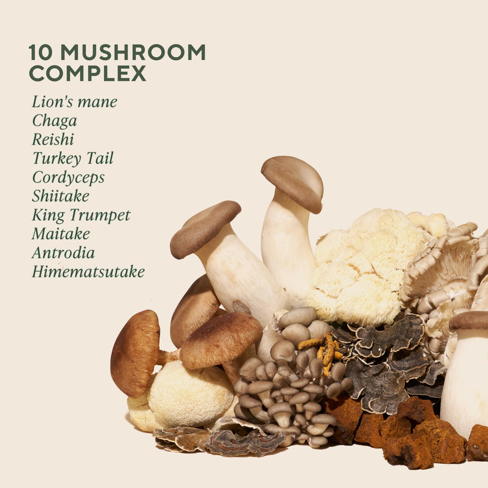 OM MUSHROOM SUPERFOOD cápsulas abiertas detalle de tamaño y fácil ingesta