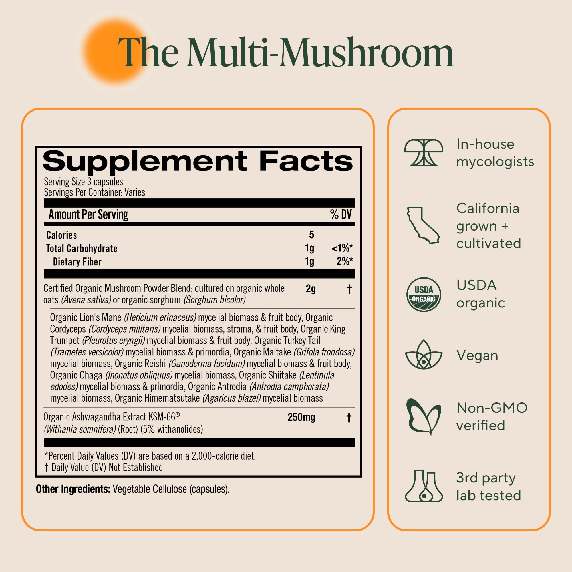 OM MUSHROOM SUPERFOOD cápsula tomada durante un viaje para salud práctica en movimiento