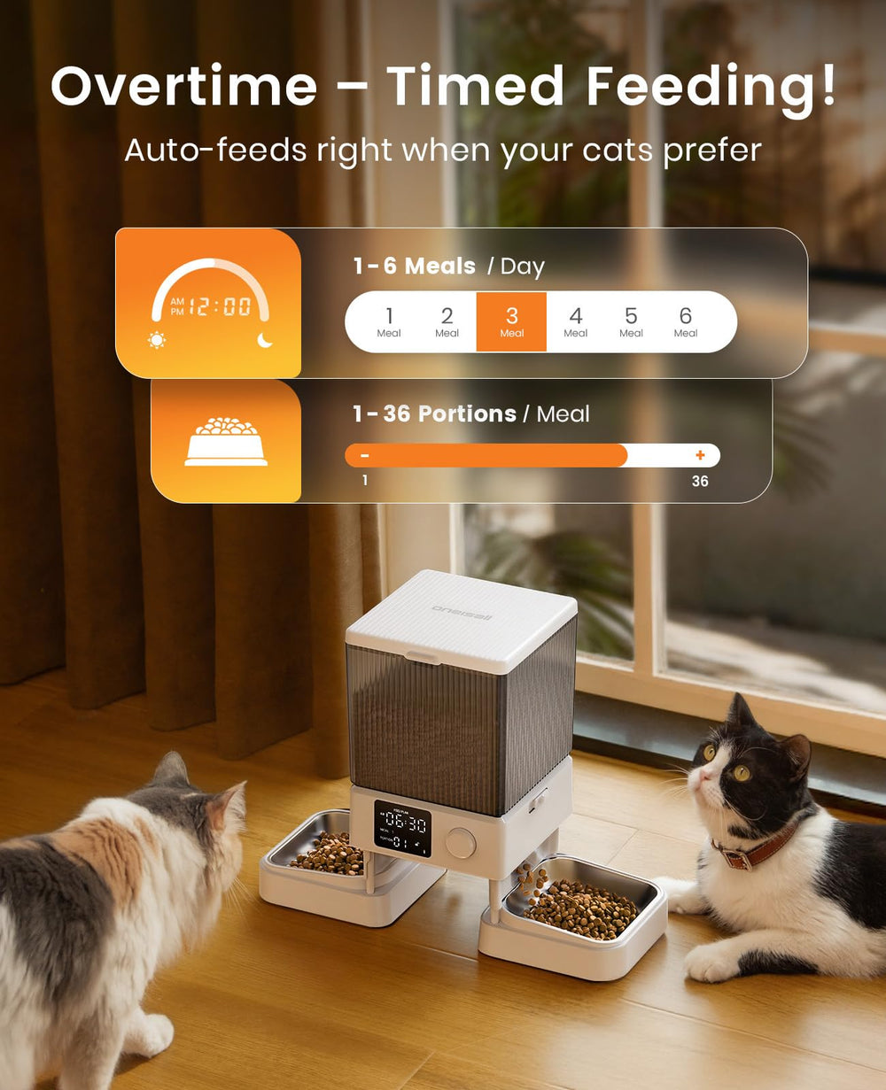 oneisall grabador de voz en uso, llama a los gatos antes de la comida