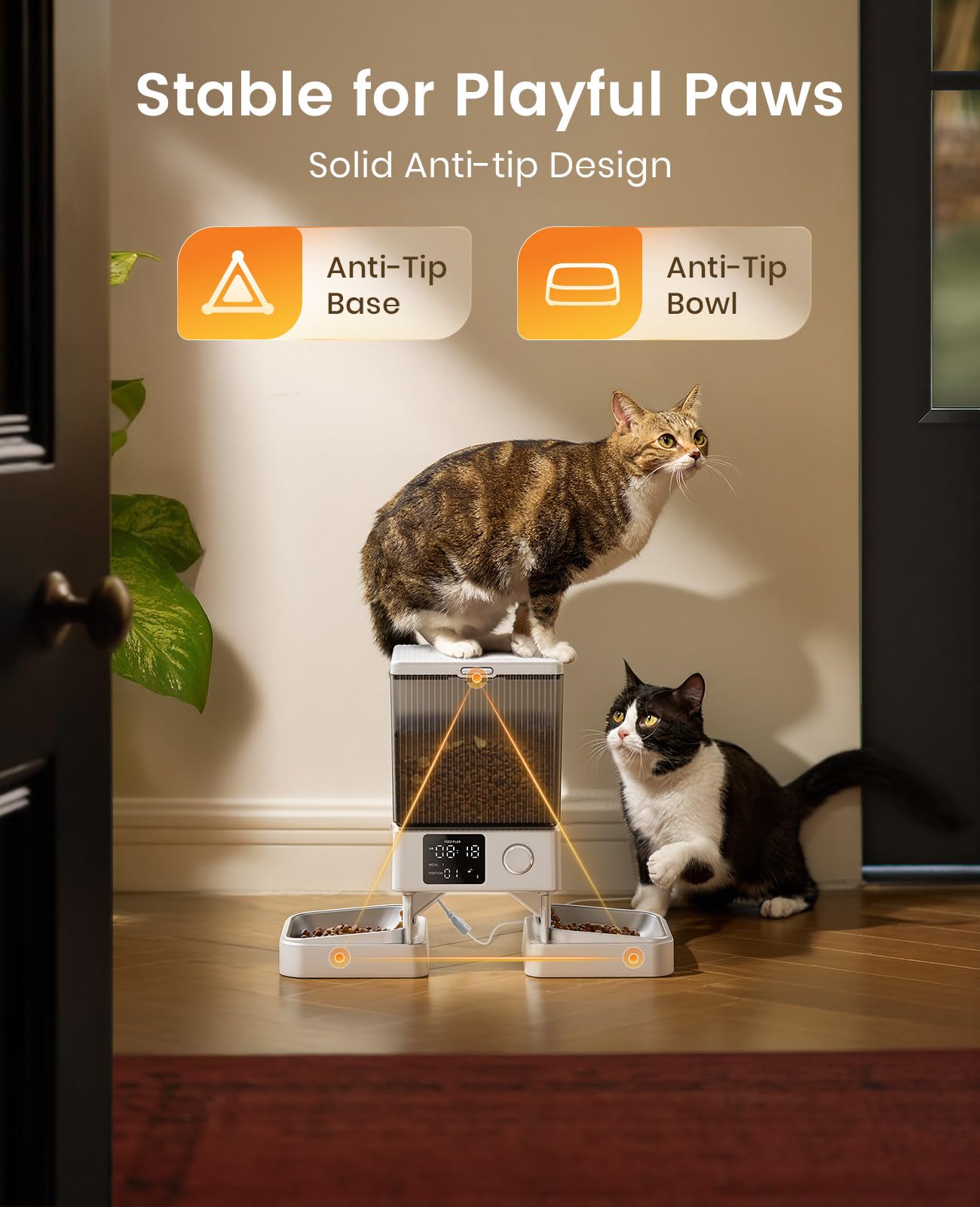 oneisall separación de 16 pulgadas entre platos, espacio cómodo para cada gato