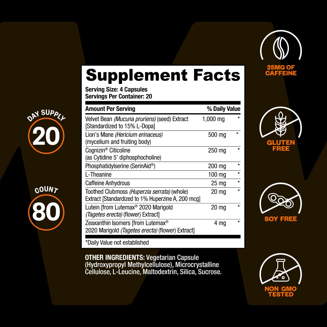 ONNIT ingredientes citicolina y Lion's Mane representados como enfoque natural