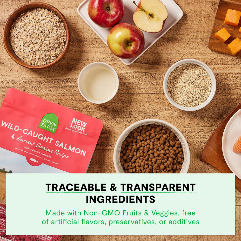 Comparación de tamaño de croqueta Open Farm junto a mano, visualiza escala y manejo