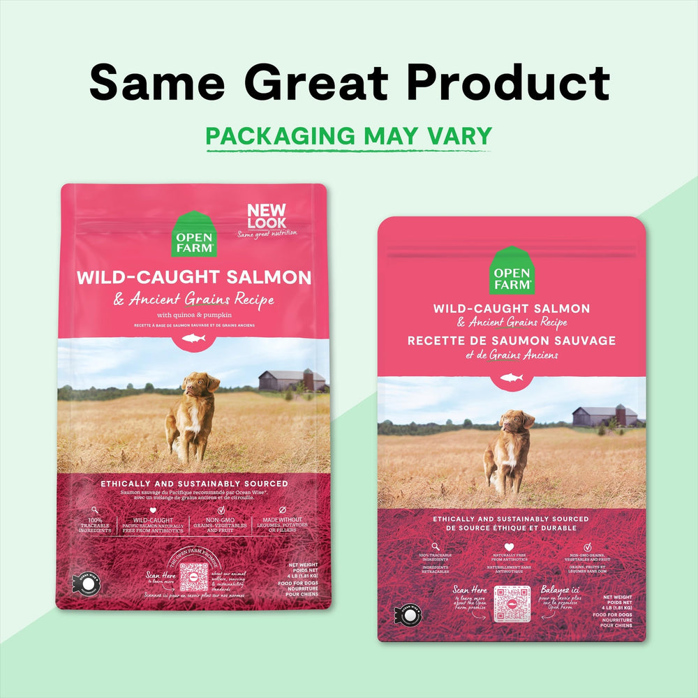 Escena de vida diaria con perro activo y bolsa Open Farm salmón en fondo, nutritivo y natural