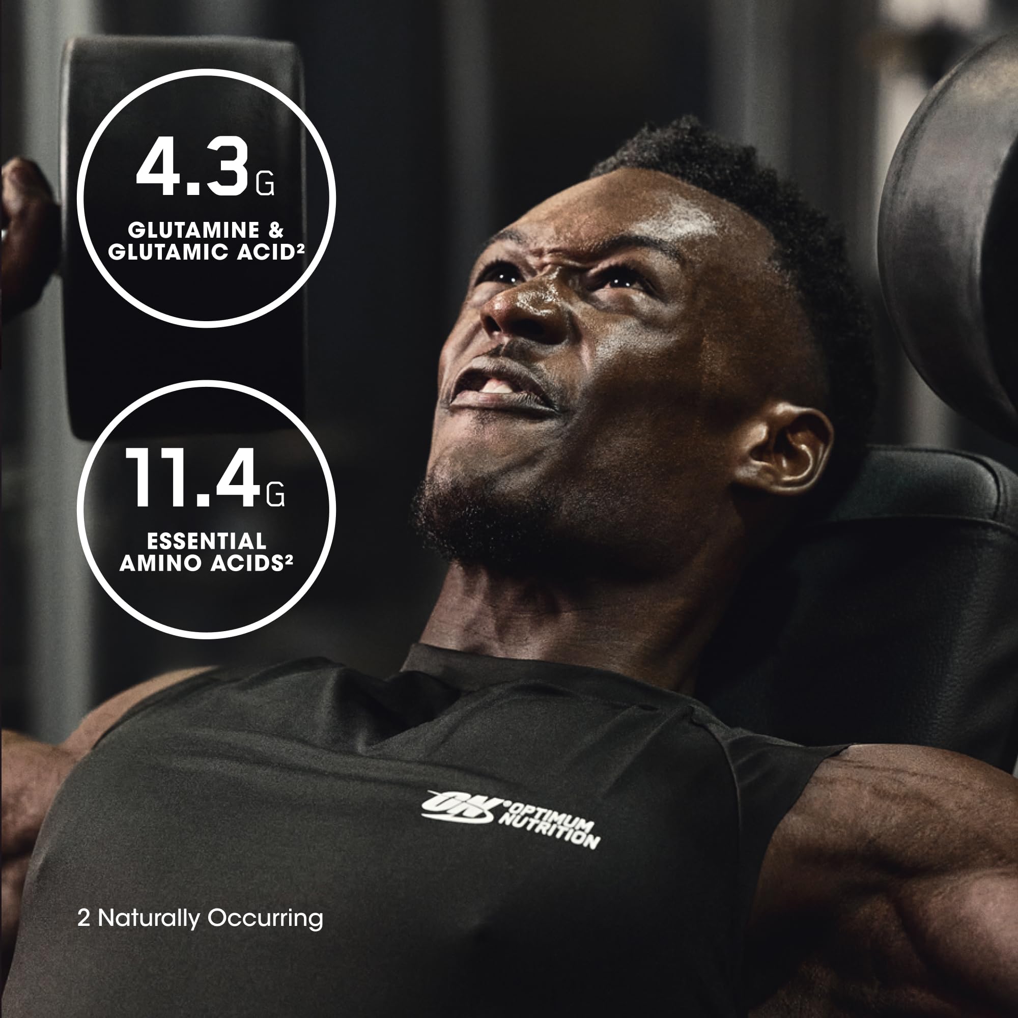 Optimum Nutrition panqueques con proteína para mostrar uso culinario y aporte proteico