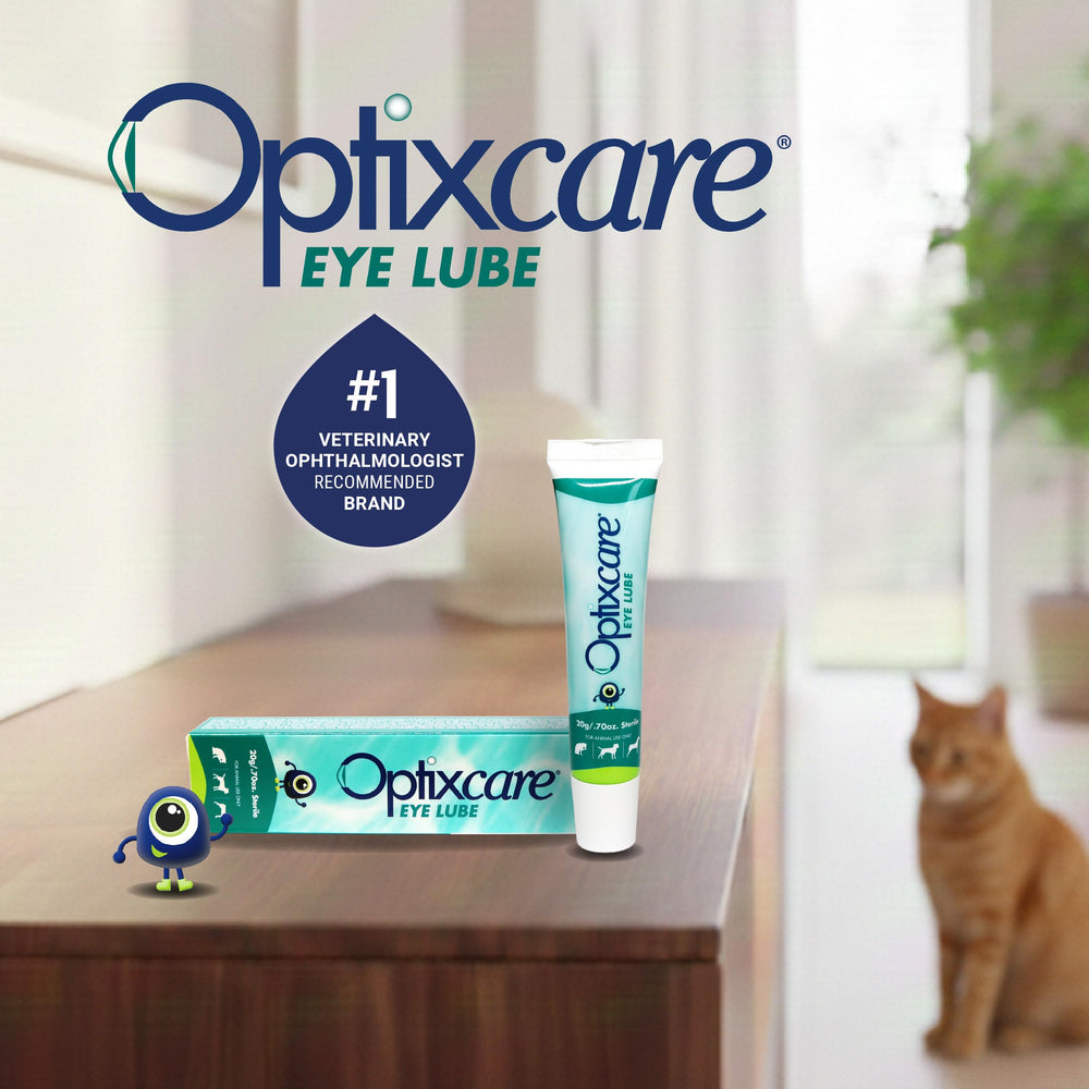 OptixCare en ambiente doméstico mostrando alivio e integración diaria