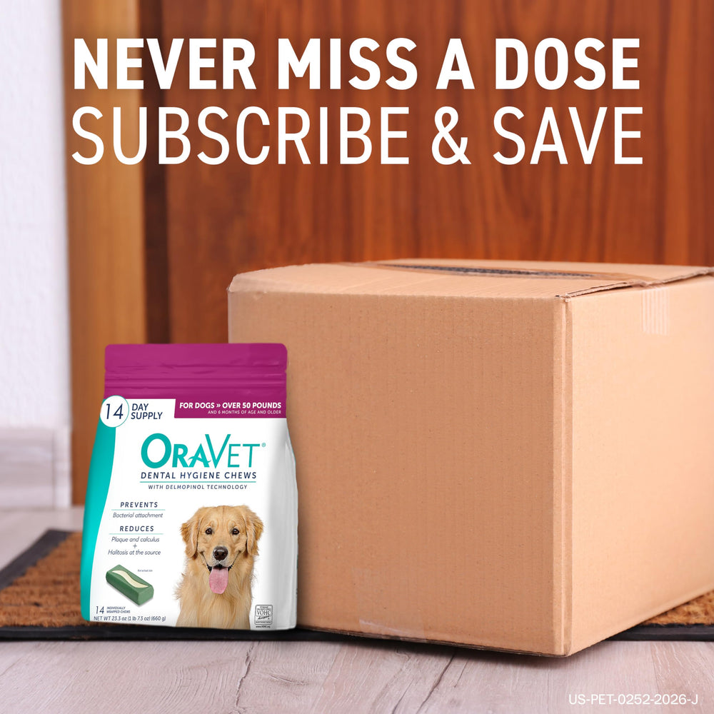 OraVet producto en cama de perro mostrando uso cotidiano y conveniencia