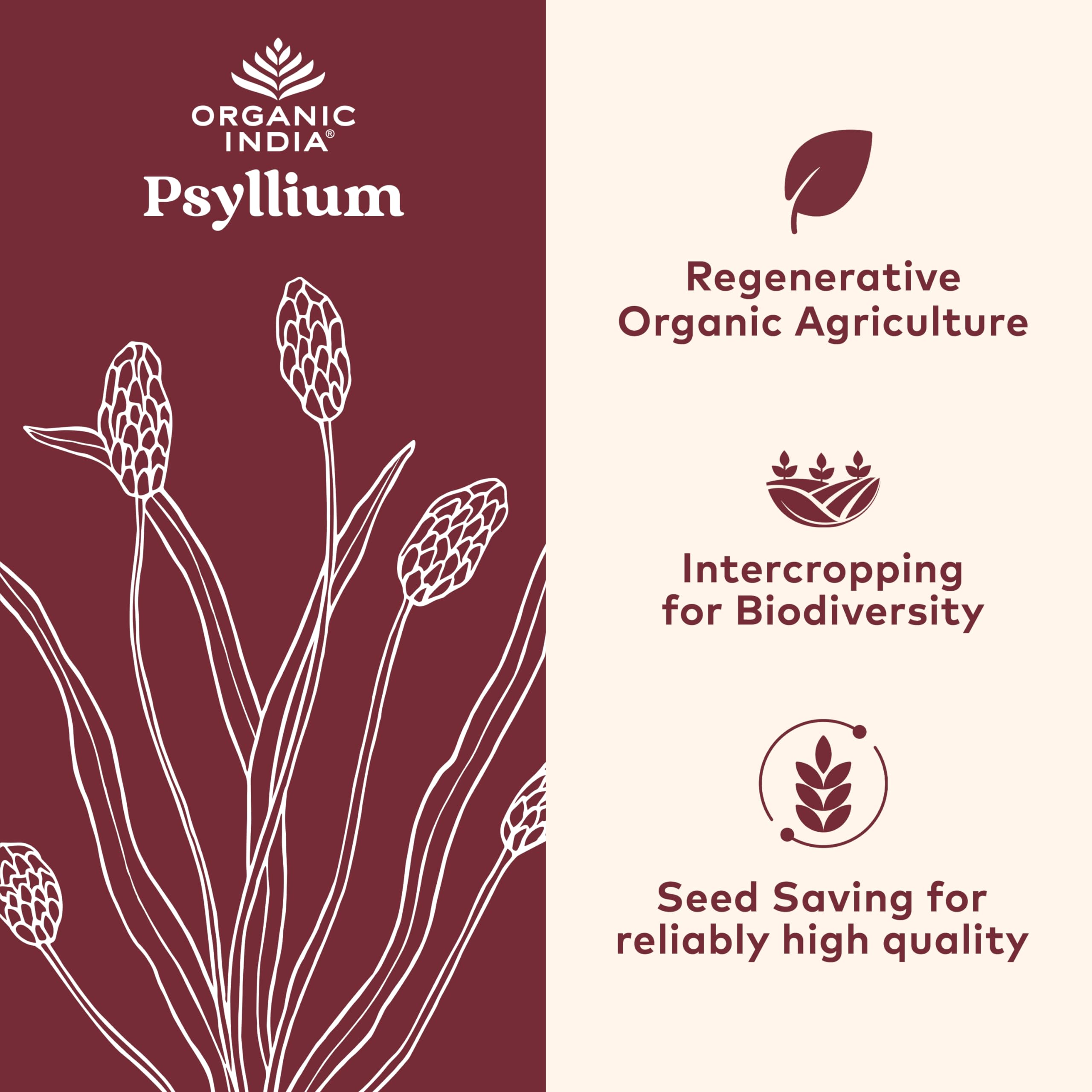 ORGANIC INDIA cápsula en mano para comparar tamaño y dosis conveniente