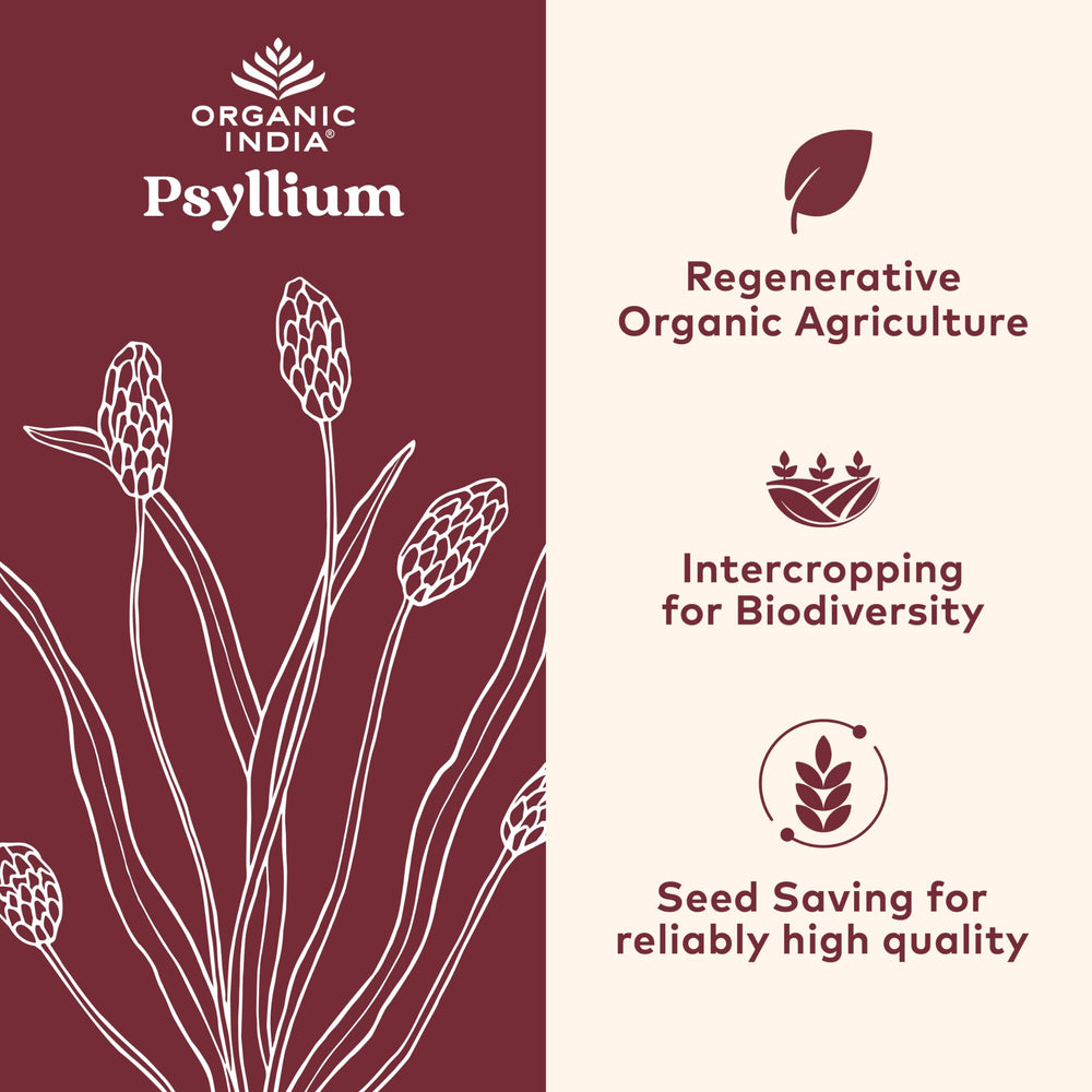 ORGANIC INDIA cápsula en mano para comparar tamaño y dosis conveniente