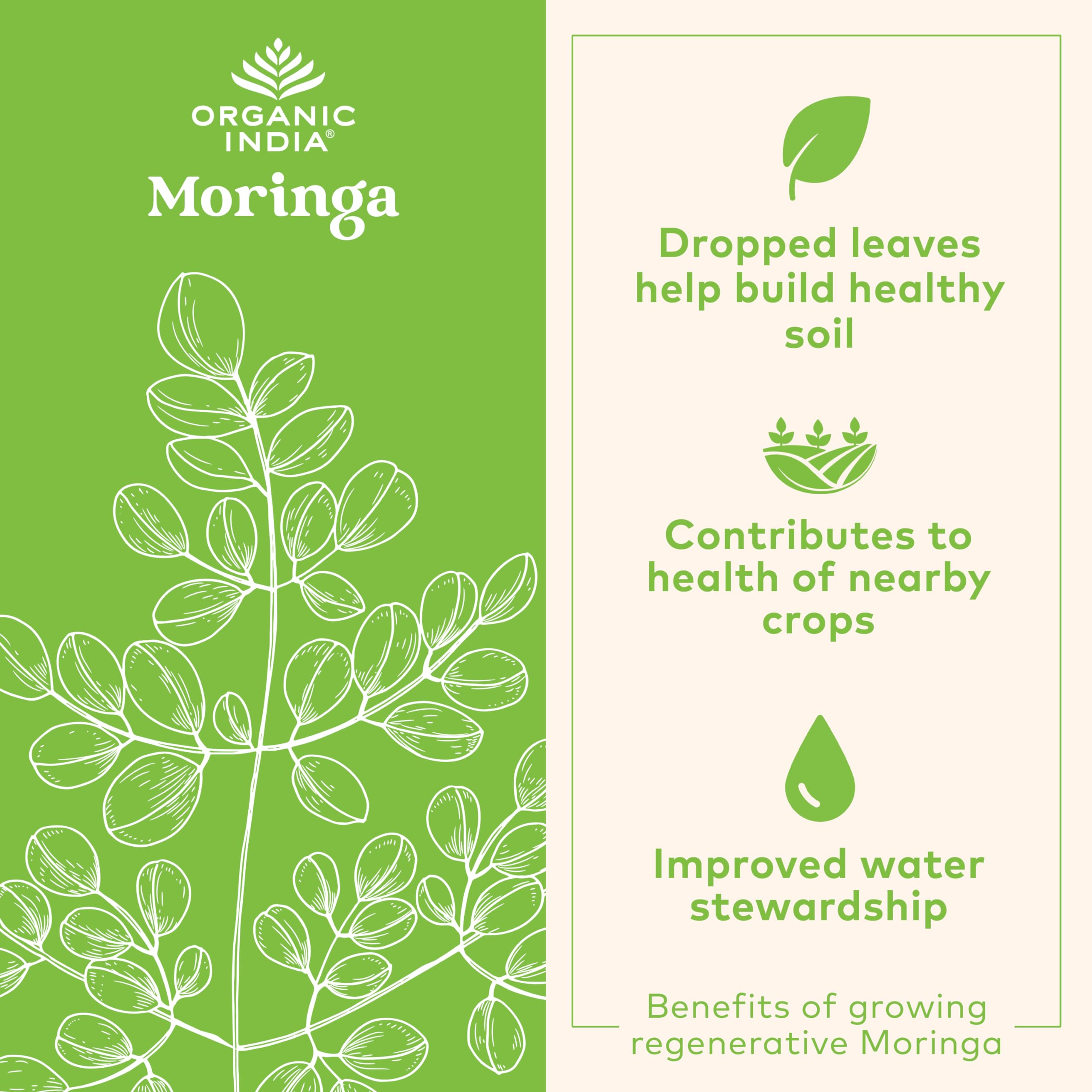 Organic India polvo de moringa en primer plano mostrando textura pura