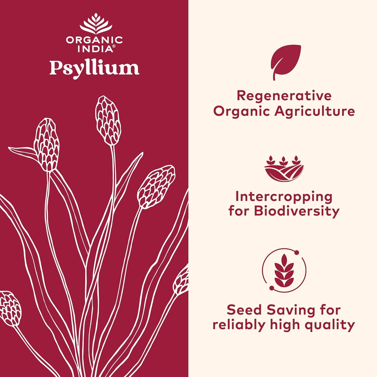 ORGANIC INDIA primer plano de la textura del polvo de psyllium para mezcla fácil