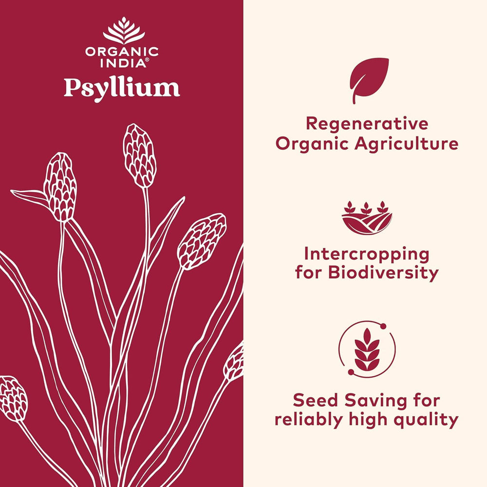 ORGANIC INDIA primer plano de la textura del polvo de psyllium para mezcla fácil
