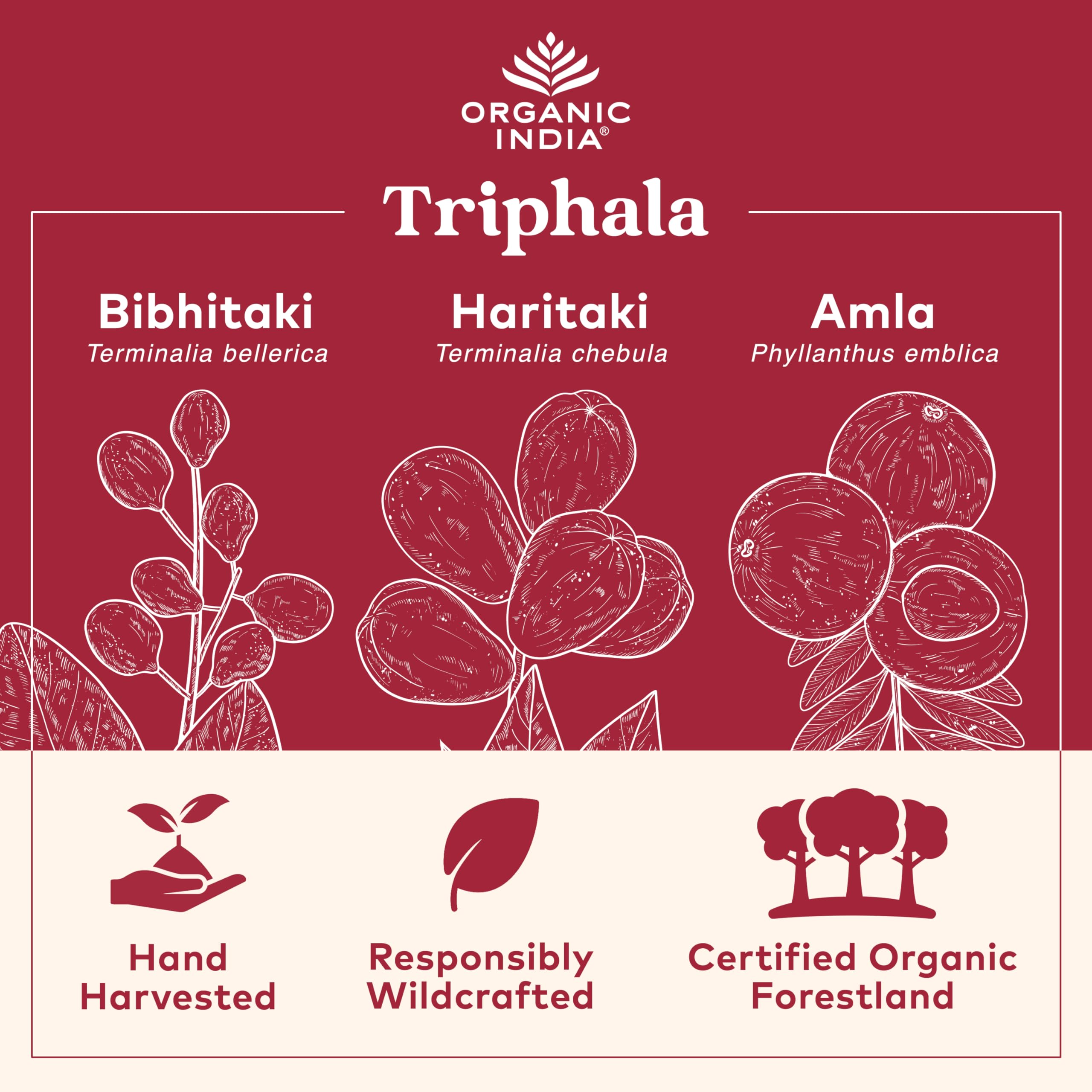 Organic India cápsulas a detalle indicando textura y calidad vegetal