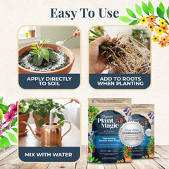 Organic Plant Magic solución nutritiva en agua lista para regar plantas