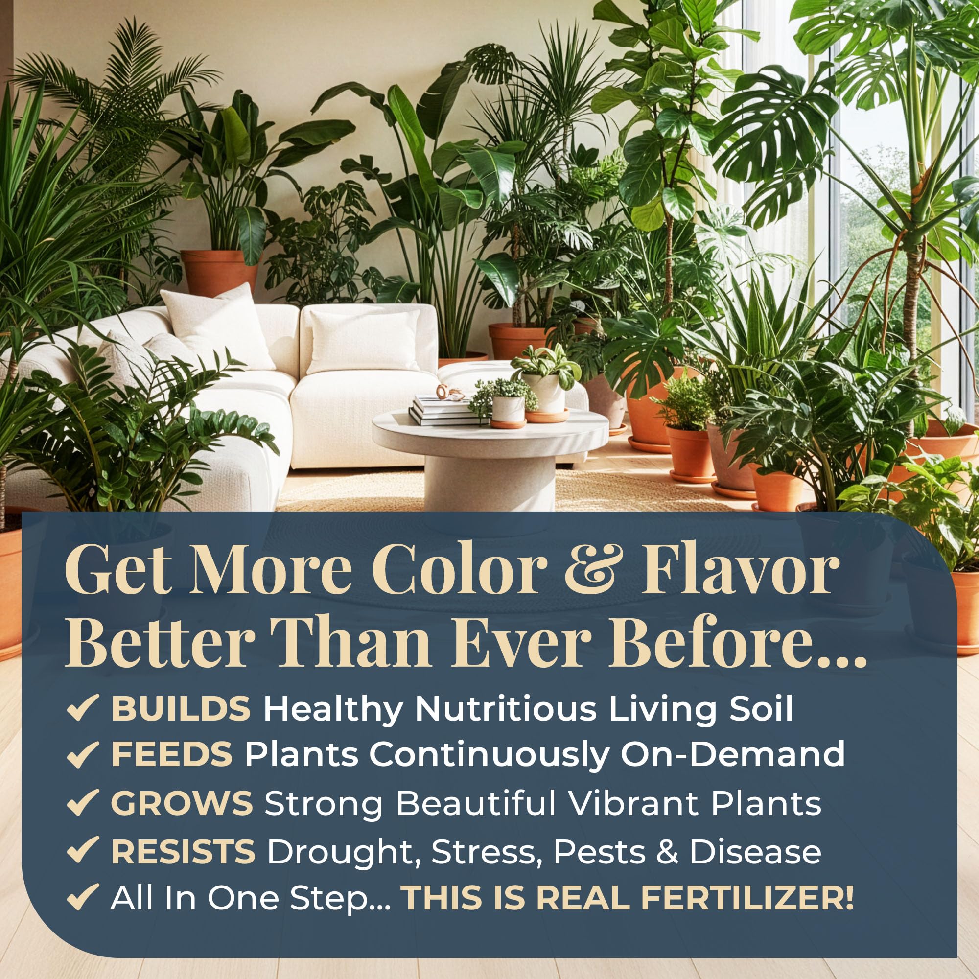Organic Plant Magic aplicado en maceta interior con hojas vistosas
