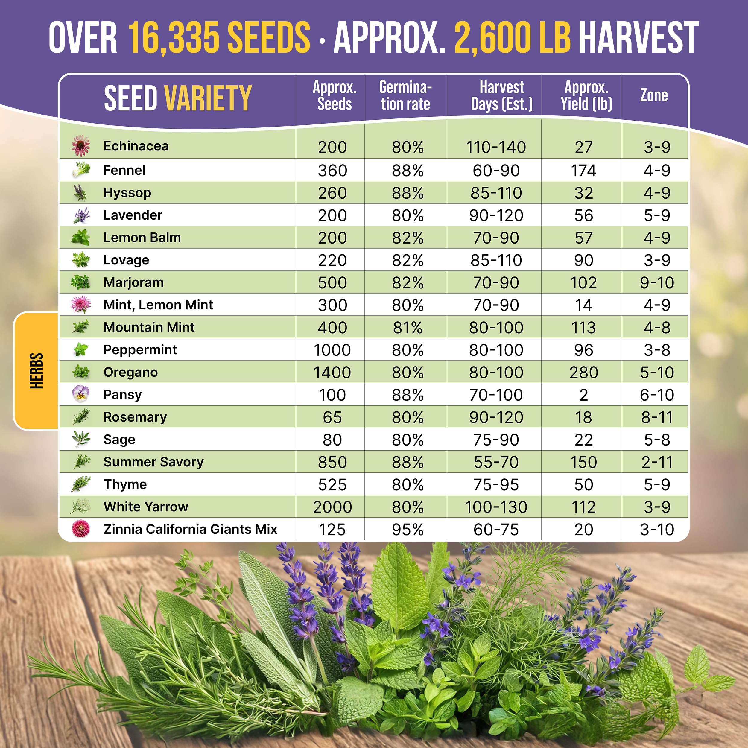 Organo Republic mature herb garden displaying colorful blooms and kitchen-ready harvest
