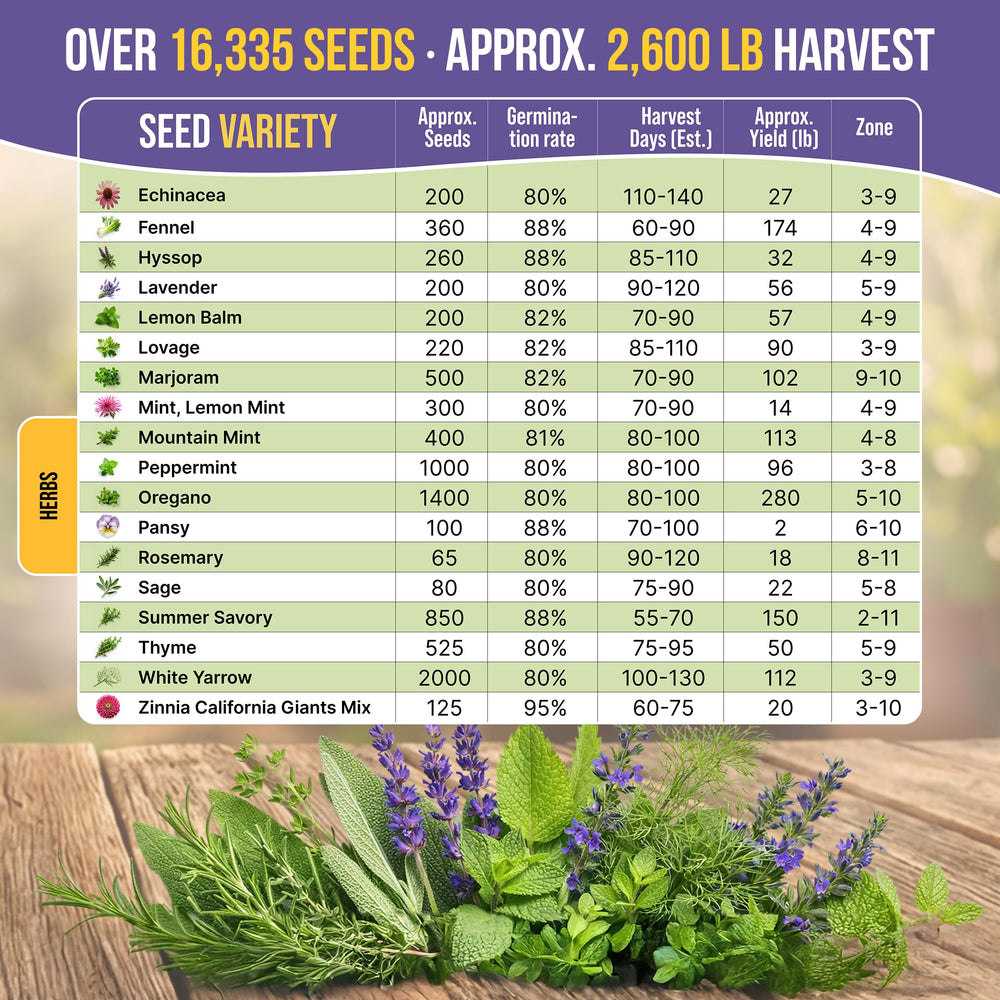 Organo Republic mature herb garden displaying colorful blooms and kitchen-ready harvest