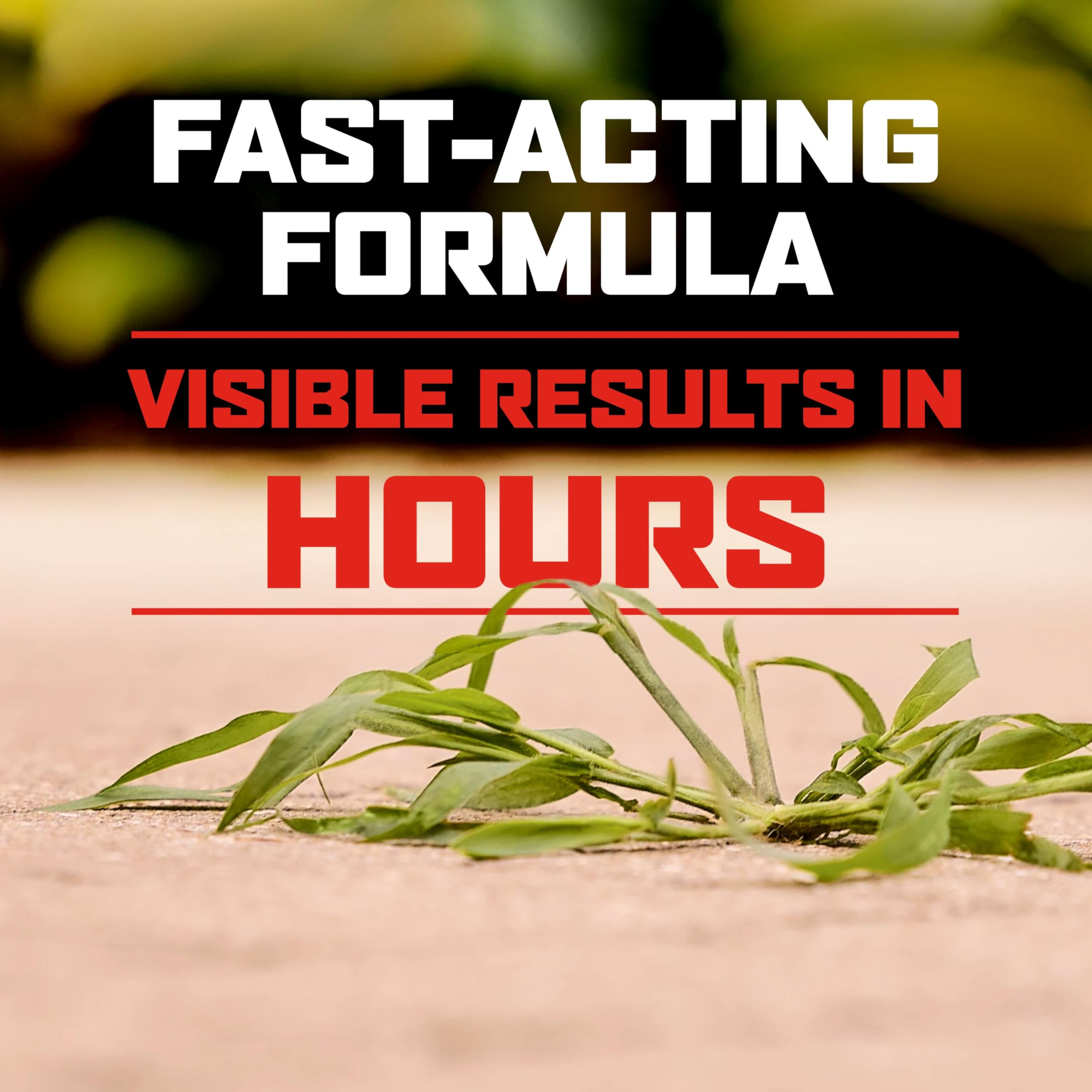 Patio de adoquines limpio tras usar Ortho para mantenimiento duradero
