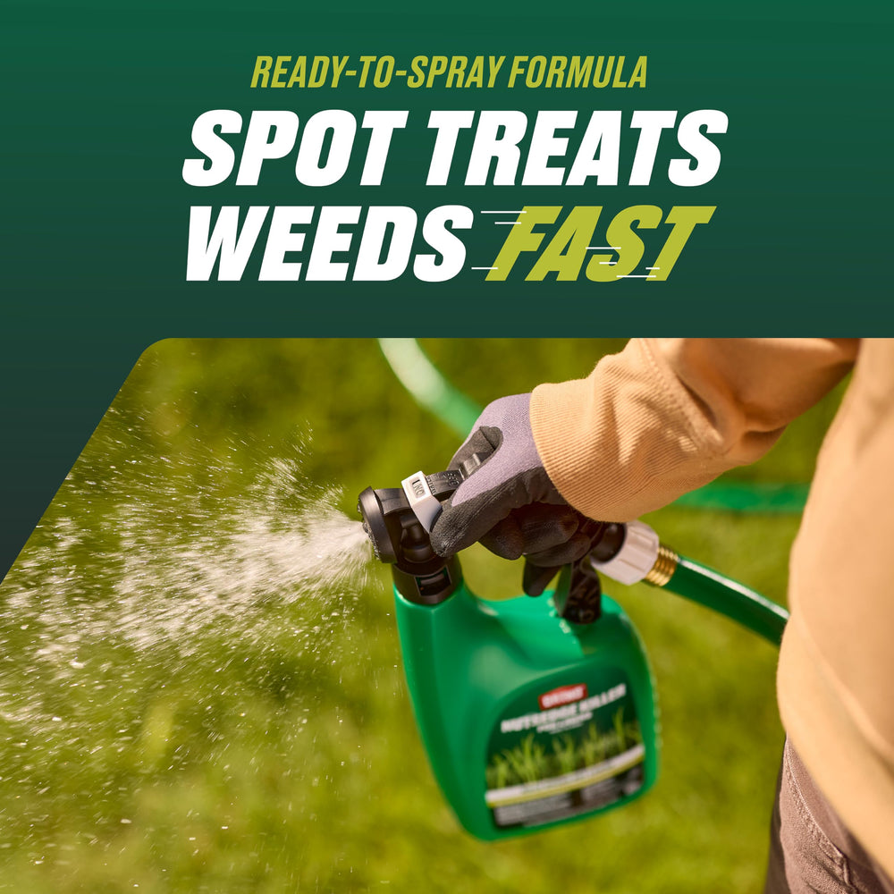 Ortho spraying lawn in use targeting weeds for quicker visible control