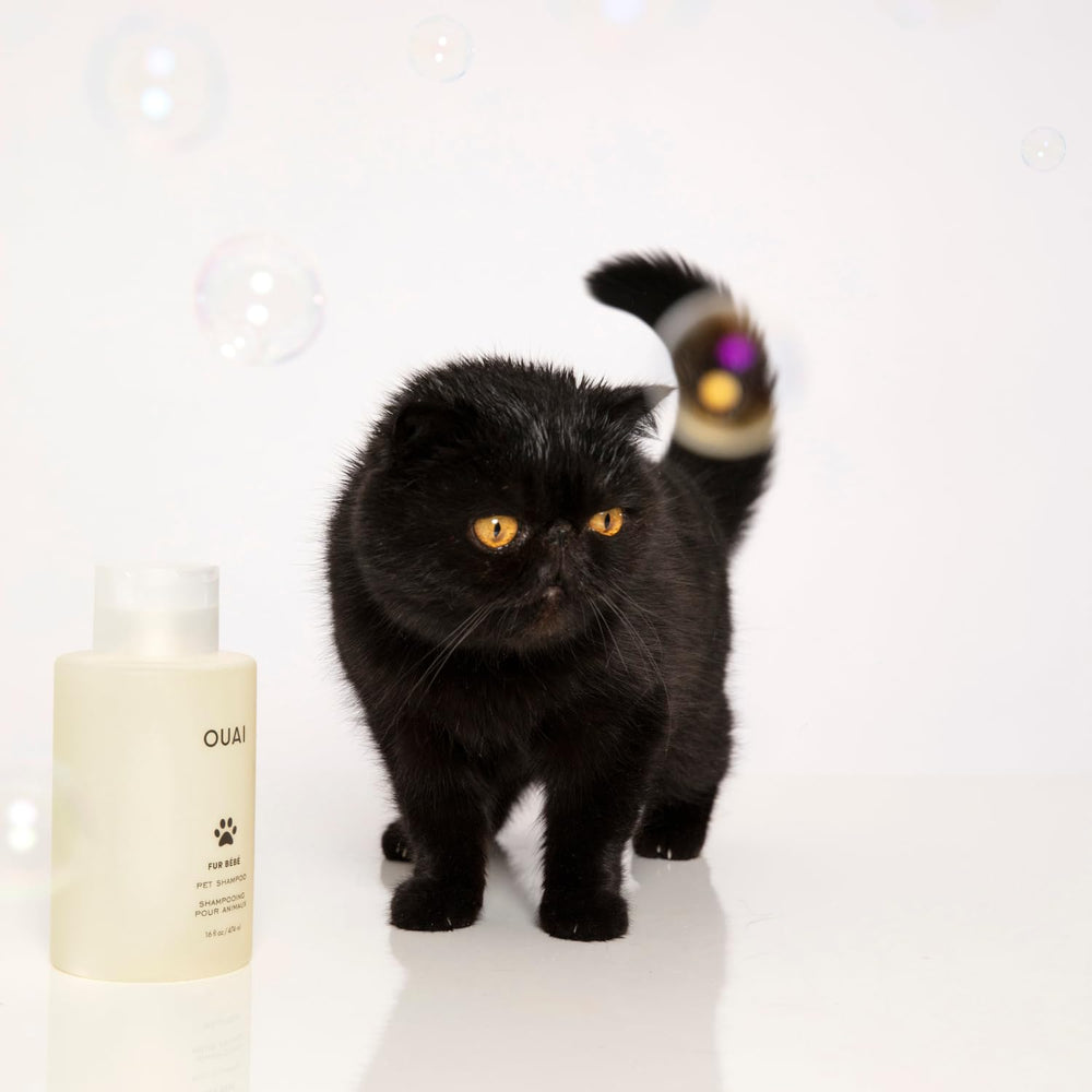 OUAI Mercer Street aroma representado con flores y tela
