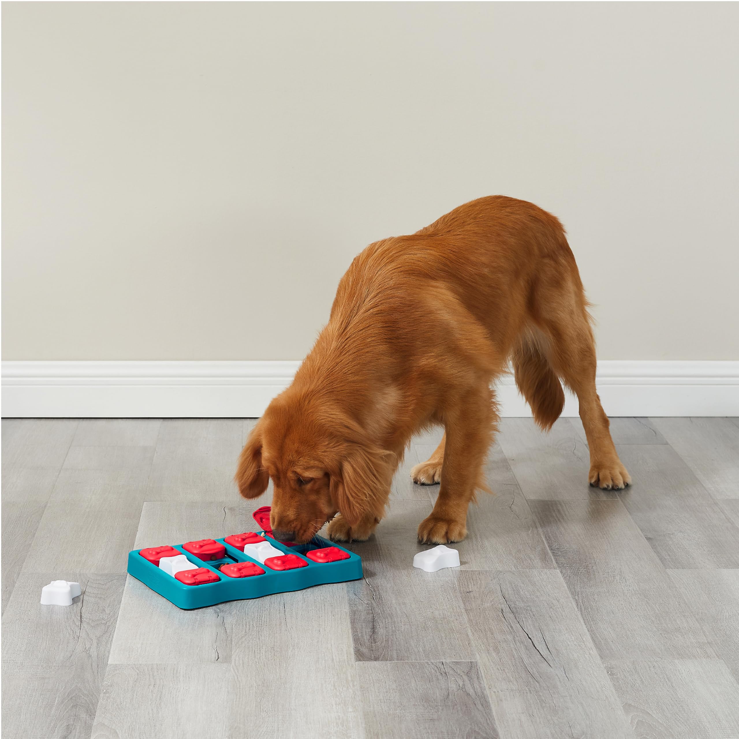 Outward Hound estilo de vida: perro resolviendo el puzzle en casa